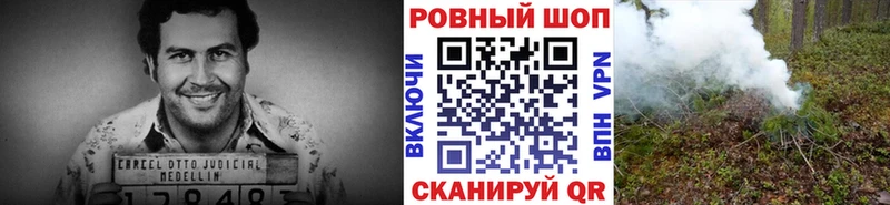 Названия наркотиков Невель СК  КОКАИН  ГАШИШ  МЕФ  АМФЕТАМИН  Конопля 
