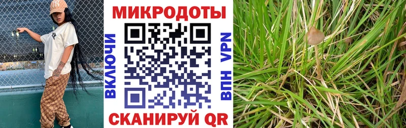 Псилоцибиновые грибы GOLDEN TEACHER кракен ссылки Невель цена наркотик